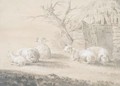 Sheep Before A Barn - Dutch School