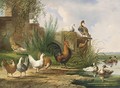 Poultry By A Pond - Albertus Verhoesen