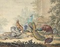 A Peacock And Peahen With Other Fowl In A Yard - Jabes Heenck