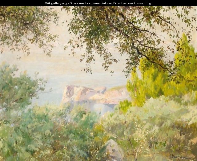 Vista De Mallorca - Eliseu Meifren i Roig
