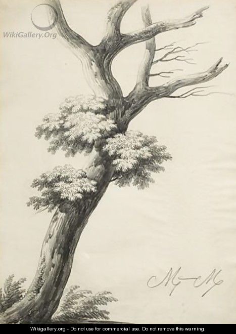 Study Of A Tree - Alphonse Nicolas Michel Mandevare
