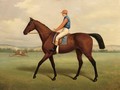 Rowton, Winner Of St. Leger 1829 - English School