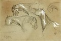 Studies Of Horses - Rosa Bonheur