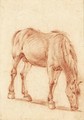 A Grazing Horse - (after) Adriaen Van De Velde