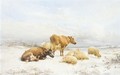 Sheep And Cattle In A Snowy Landscape - Thomas Sidney Cooper