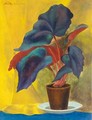 Begonias On Yellow - Konstantin Vikentevich Dydyshko