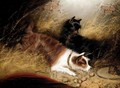Terriers Ratting - Edward Armfield