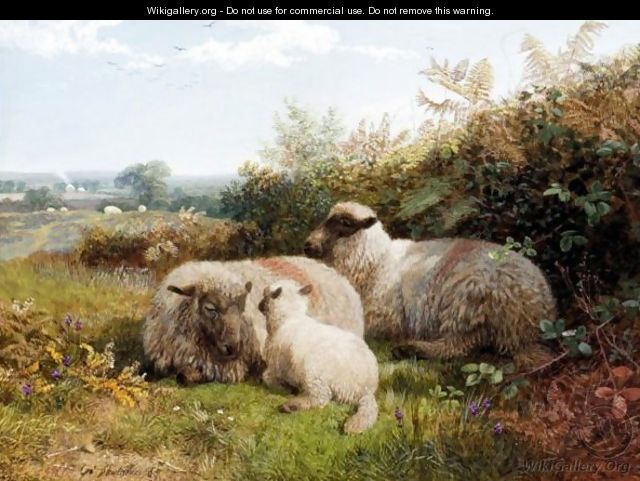 Sheep Grazing - George Shalders