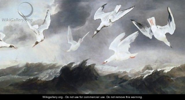 A Flock Of Terns And Gulls Above Stormy Seas - Paul de Vos