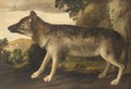 Portrait Of A Hound In A Landscape - Italian School