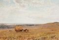 Views From The Sussex Downs Towards Chichester - Robert Thorne Waite
