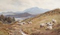 Sheep On The Fells - Frederick John Williamson