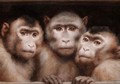 Three Monkeys - Gabriel Cornelius Ritter von Max