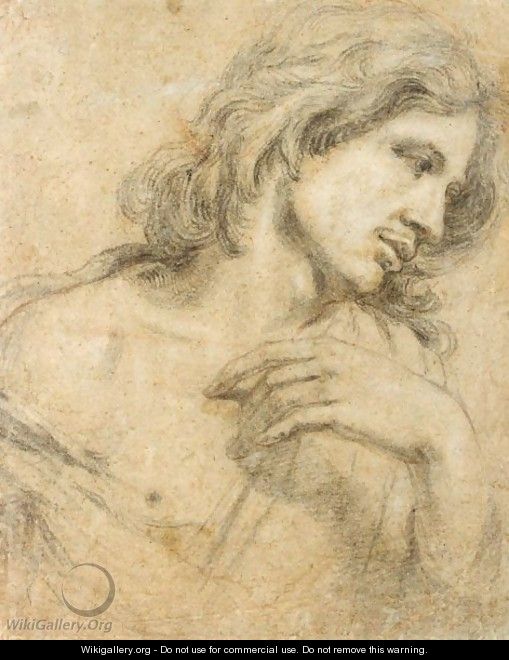 Study Of A Youth, Head And Shoulders - (after) Dyck, Sir Anthony van