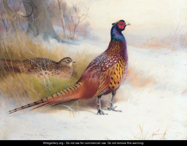 A Pair Of Pheasants In The Snow - Archibald Thorburn