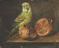 Still Life With A Parrot And A Pomegranate - Continental-American School