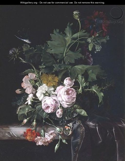 Peonies, Carnations, Thistles And Other Flowers In A Glass Vase On A Partly Draped Marble Ledge With A Butterfly And A Dragonfly - Willem Van Aelst