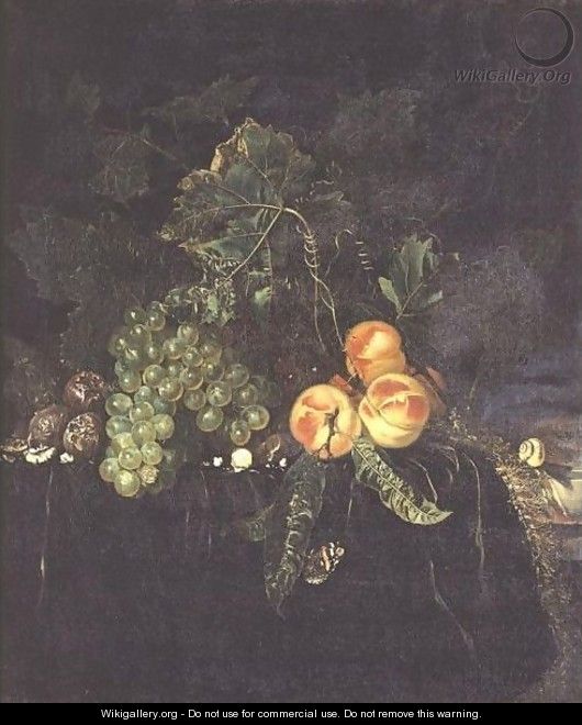 Still Life With Peaches, Grapes On A Draped Ledge With A Snail And Butterfly - Nicolaes Lachtropius