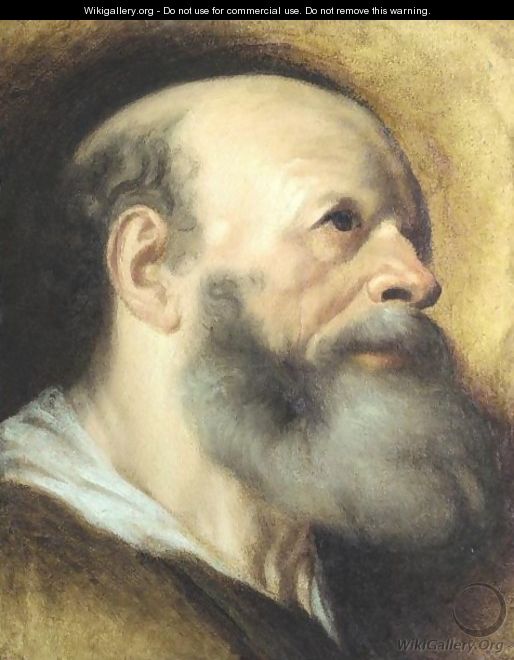 Portrait Of A Bearded Man - (after) Jacob Jordaens