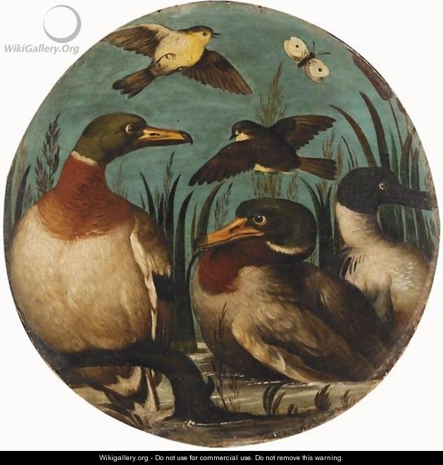 Still Life With Ducks, Finches And A Butterfly Together In A River Landscape - Italian School