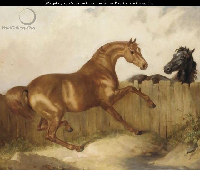A Black Horse And Chestnut Horse - (after) James Ward