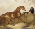A Black Horse And Chestnut Horse - (after) James Ward