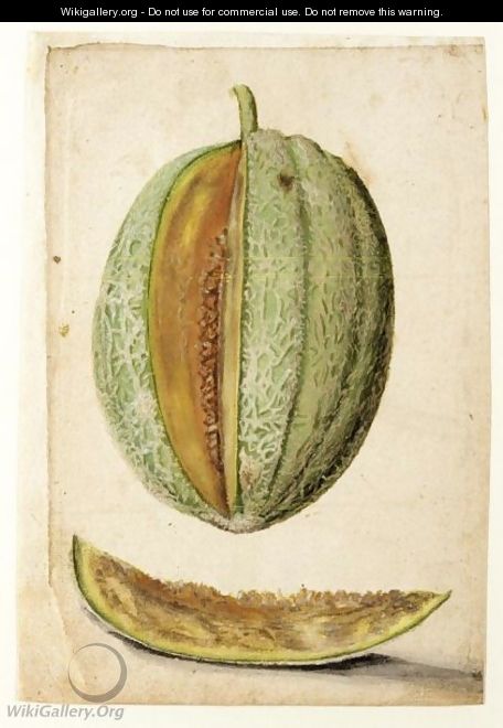 Study Of A Melon With A Slice Cut Out - (after) Le Moyne, Jacques (de Morgues)