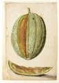 Study Of A Melon With A Slice Cut Out - (after) Le Moyne, Jacques (de Morgues)