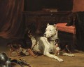 Three Dogs In An Interior - Vincent de Vos