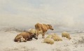 Winter - Sheep And Cattle - Thomas Sidney Cooper