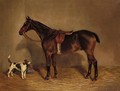 A Saddled Brown Horse - Nassau Blair Browne