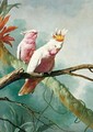 A Pair Of Leadbeaters Cockatoos - (after) Jacques Barraband