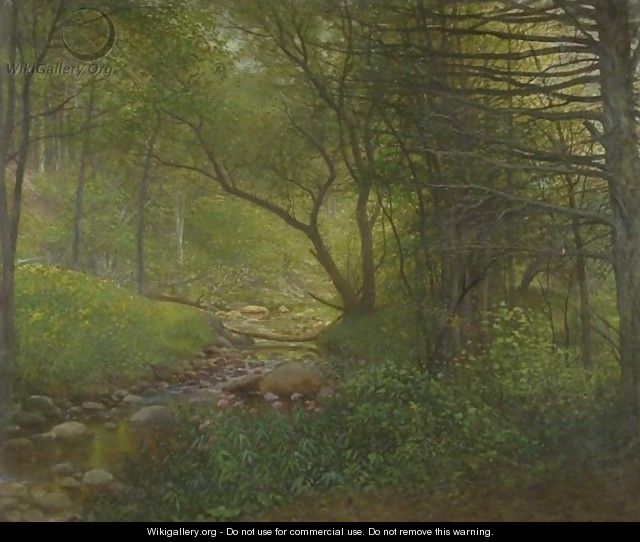 Woods And Stream - William Lippincott