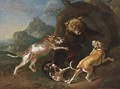 A Hunting Scene With Dogs Bringing Down A Bear - (after) Ferdinand Phillip De Hamilton
