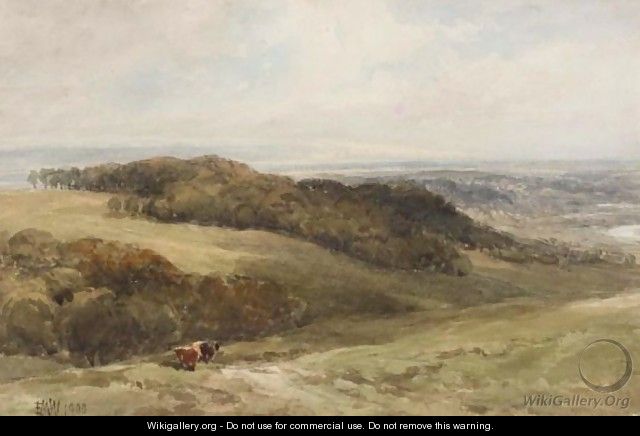 Cattle In A Valley - Edmund Morison Wimperis