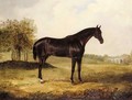 Bay Horse In A Landscape - Henry Calvert