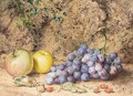 Still Life Of Apples And Grapes - Thomas Collier