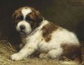 A Saint Bernard Puppy 2 - Otto Eerelman
