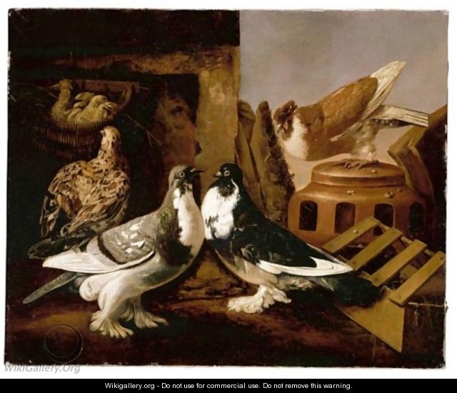 Still Life Of Two Courting Doves, A Partridge And Her Chicks, And A Further Dove Beyond Perched On A Jar - Jacomo (or Victor, Jacobus) Victors