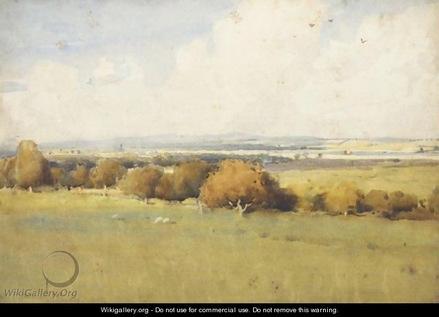 A Dumfriesshire Meadow, Kirkconnel - James Paterson
