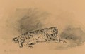 Study Of A Tiger - Eugene Delacroix