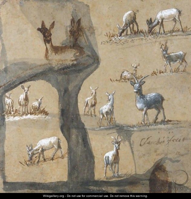 A Sheet Of Studies Of Deer - Claude Lorrain (Gellee)