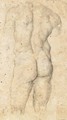 Study Of A Male Torso, Seen From Behind - (after) Daniele Da Volterra