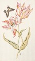 Two Tulips 'Admiral Pottebacker' And 'Isabella' With A Swallowtail Butterfly - Dutch School
