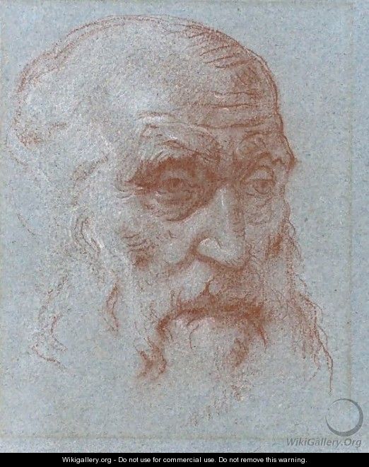 Study Of The Head Of A Bearded Man - Giovanni Battista Tiepolo