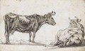 Study Of Two Cows - Aelbert Cuyp