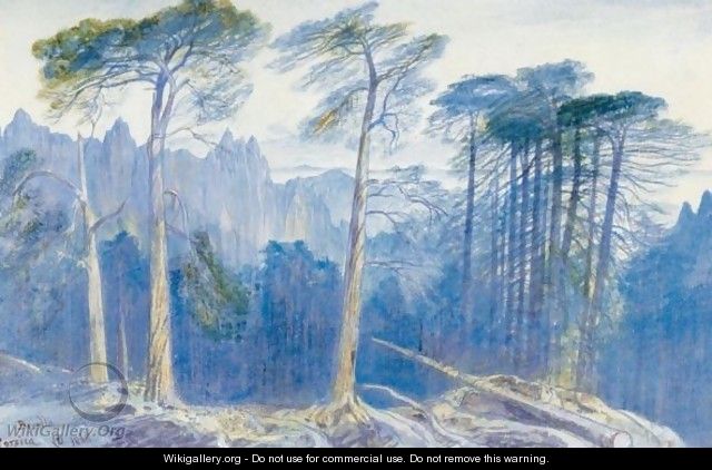 The Pine Forest Of Bavella, Corsica - Edward Lear