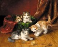Playful Kittens - Alphonse de Neuville