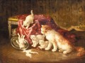 (after) Henriette Ronner-Knip