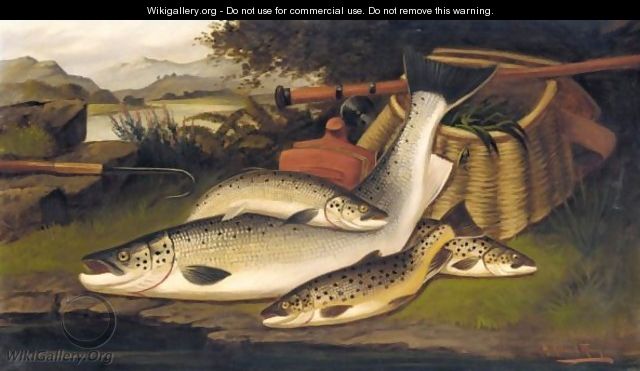 On The Banks Of The Tweed, Salmon, Salmon Trout, Lake Trout - A. Roland Knight